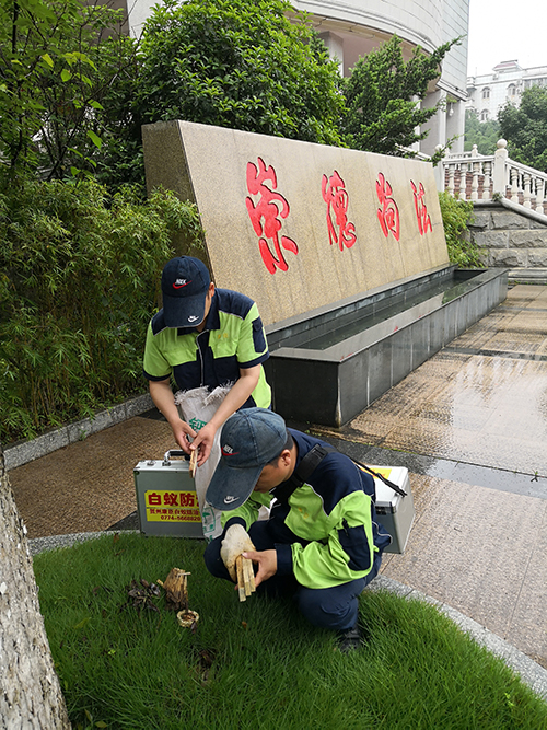 機(jī)關(guān)單位滅白蟻